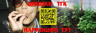 спиды Гай