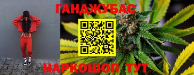 спиды Гай