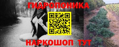 кокаин Гатчина