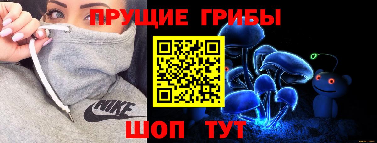 магазин продажи   Галлюциногенные грибы MAGIC MUSHROOMS  Вход с VPN  Прохладный 